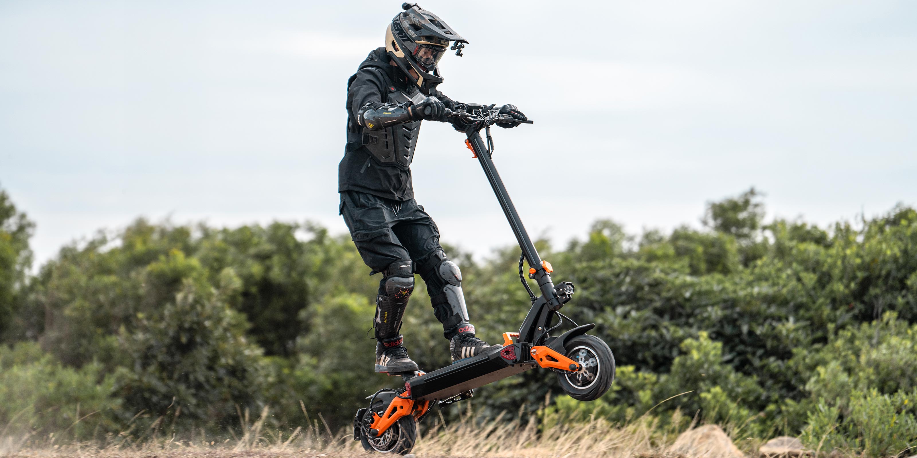 Alwaybike Adult Electric Scooters for best sell